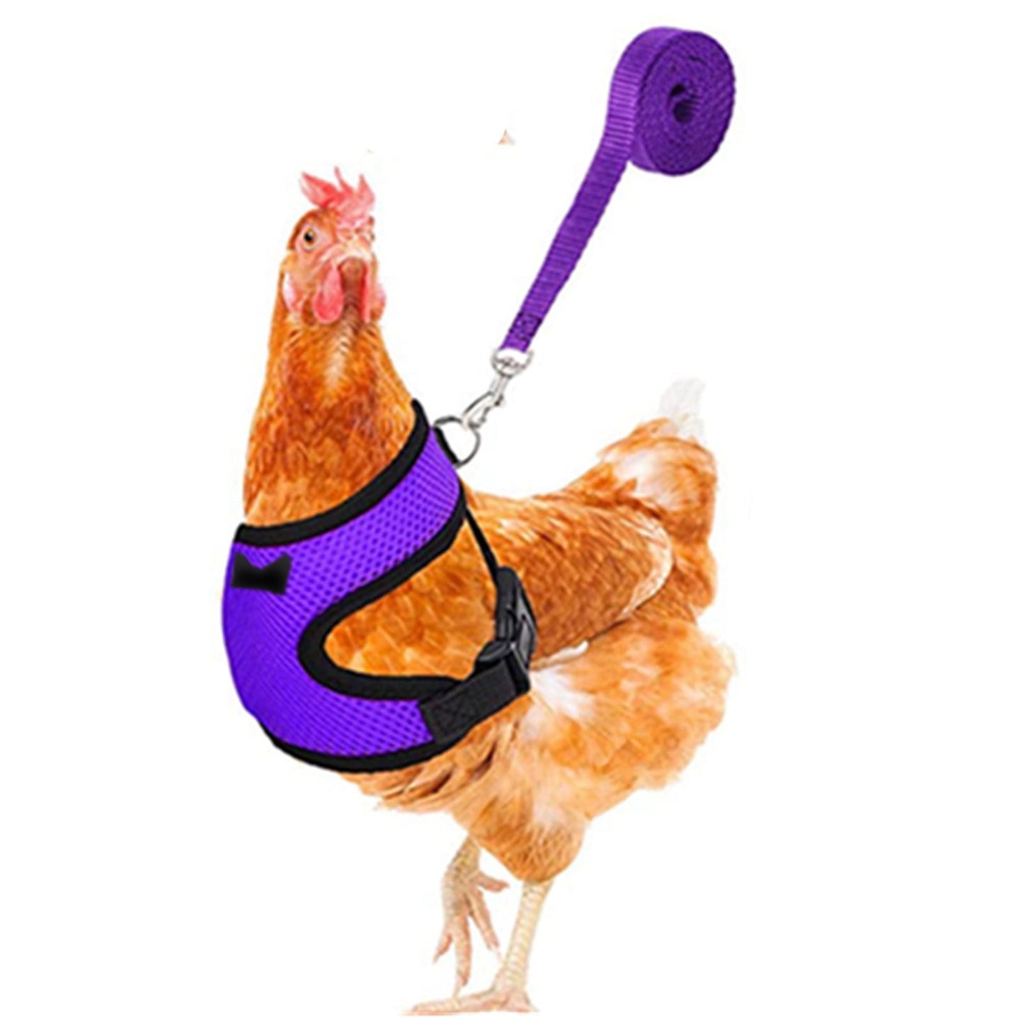 Duck Harness,Chicken Leash Pet Chicken Leash Pet Leash,Breathable Nylon Chicken Harness and Leash Set - Comfortable, Adjustable Poultry Vest for Training and Walking(Purple M:11.4x(14-20)in)