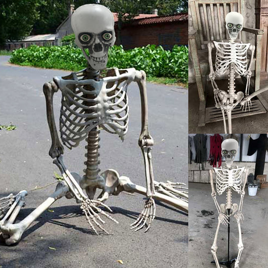 Halloween Skeleton Life Size,Skeleton Decor,Halloween Skeleton,Skeleton Halloween Realistic Full Body Bones with Movable Joints for Party Haunted(White 28in)